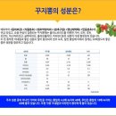 참옻피아