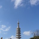 구례약산 Daum카페