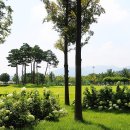 패밀리공원 이미지