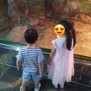 온천119안전센터 이미지