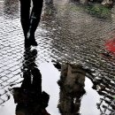 우산수영장 이미지