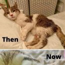 사랑한스푼 이미지