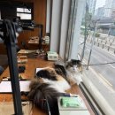 배민수공방/반지만들기/문래동 데이트 추천
