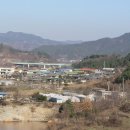 단오약국 이미지