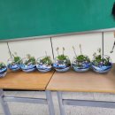 조정체험학교 강당 이미지