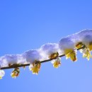 남양고등학교 이미지