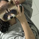 해뷰