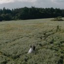 제주의 사색 | W07.[제주웨딩촬영]사색(4Colors) 한큐패키지 촬영 후기