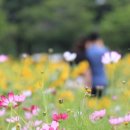 단원구청.단원보건소 이미지