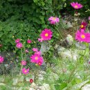 지리산하늘펜션 이미지