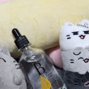 D00285 | 속당김까지 해결하는 수분 진정 비타민앰플 메이아일랜드 B5 비타민소스 솔직 사용 후기