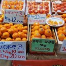 오늘청과2 이미지