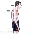 부곡프라자 | 장유피티 / 72세 회원님의 호흡패턴 회복과 굽은등 교정운동 후기~!~!
