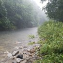 들꽃팬션 앞 이미지