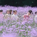 버들어린이집 이미지