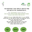 미아초등학교 이미지