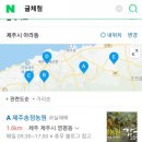 종아농장 | 제주도 감귤 체험 제주 송정 농원에서 귤 따고 왔어요