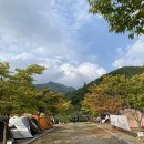 (주)예스굿모닝 이미지