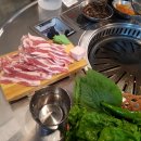 돼지세끼 이미지