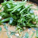 오리나라만세 이미지