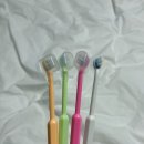 궁디팡팡 캣페스타 SETEC 쇼핑 후기 다묘집사의 추천템 둘러보기