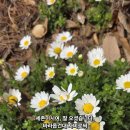 세존 - 달서구 성당로 125 | 세존