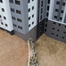 영흥숲푸르지오파크비엔 이미지