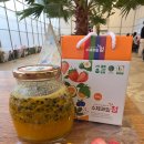 나무와꿈어린이집 | 담양 실내 아이랑 가기 좋은 꿈에그린체험농장, 수확체험부터 키트까지 완벽했던 하루