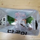 내포 맛집 : 배달먹방 내포족발&amp;자담치킨 맵슐랭,생그라나후기~