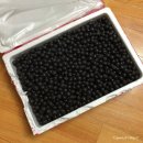 봉덕농장 이미지