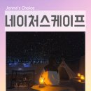 동탄대로5길 | 동탄 키즈카페 네이처스케이프 플러스 아이와 가볼만한곳 1200평 어드벤처 체험 후기