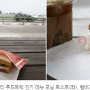 전공쉼터 이미지