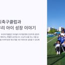 토리기술