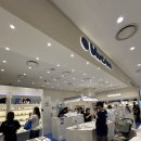 영등포타임스퀘어안경선글라스 블루선 타임스퀘어 젠틀몬스터 선글라스 구매 후기