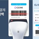 올리브트래블