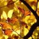 분당수요양병원 이미지