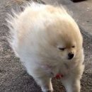 퓨처스토리
