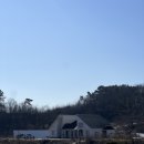 맥금동까페 | [파주 맥금동 카페] 논밭뷰 감성카페 노멀스터프