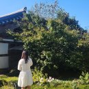 천안아산역(남쪽) | 천안찍고 서울찍고 여수로 컴백 일상 /정동뚝배기,서울홍제,홍대