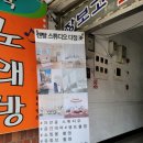 부천 렌탈 스튜디오 다정 C룸 이용후기 채광이 좋고 침대있는 대여룸
