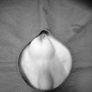 견우동물병원 이미지