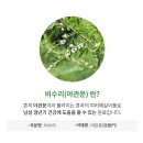 이슬비 이미지