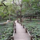 편백어울림 이미지