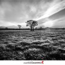 해선목장 이미지