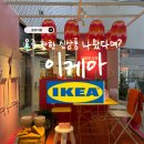 이케아 추천템 2026 신상 직접 보고 온 후기 주방용품부터 인테리어 소품까지