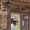 [경남/산청] 산청 가볼만한곳 남사예담촌 가족여행 후기, 한복 입고 전통혼례 체험까지