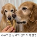 강아지 국내산 저알러지간식 바우보울 올케어 덴탈껌