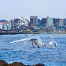 삼사리 해상공원 입구 이미지