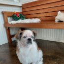 오구오구살롱 이미지