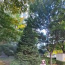 안마일천 이미지